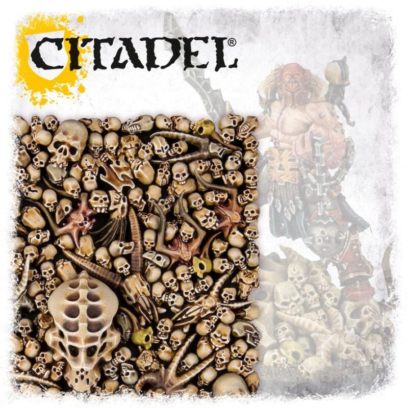 Citadel: Skulls / 64-29