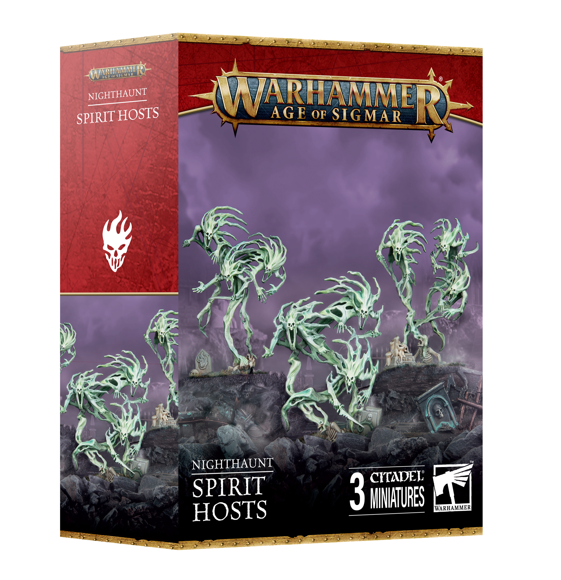 Spirit Hosts / 93-08